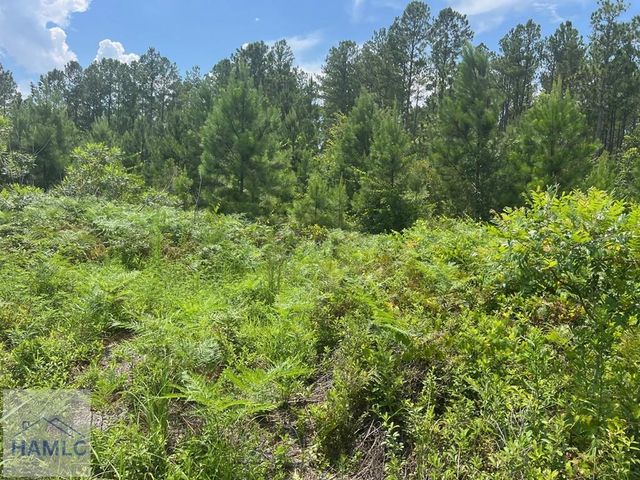 6.2 acre Tibet Highway SE, Ludowici, GA 31319