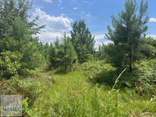 6.2 acre Tibet Highway SE, Ludowici, GA 31319