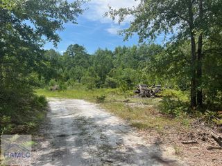 6.2 acre Tibet Highway SE, Ludowici, GA 31319