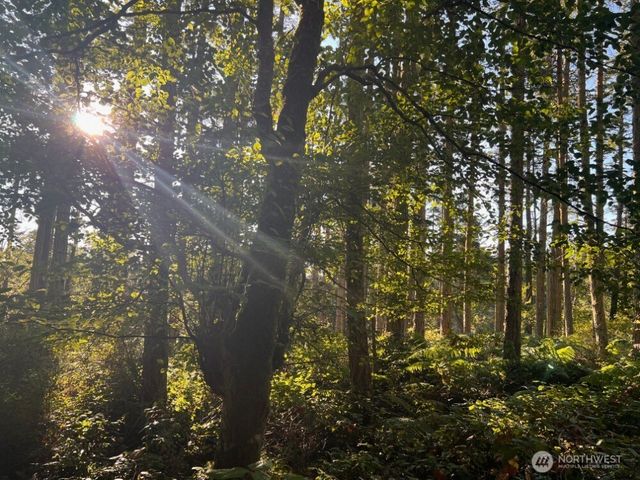 3 LOT Pavey Boulevard, Lopez Island, WA 98261