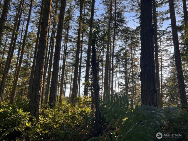 3 LOT Pavey Boulevard, Lopez Island, WA 98261