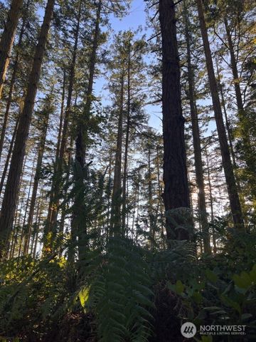 3 LOT Pavey Boulevard, Lopez Island, WA 98261