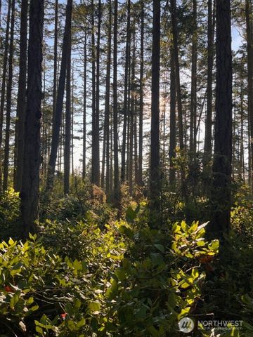 3 LOT Pavey Boulevard, Lopez Island, WA 98261