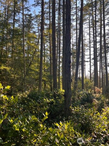 3 LOT Pavey Boulevard, Lopez Island, WA 98261