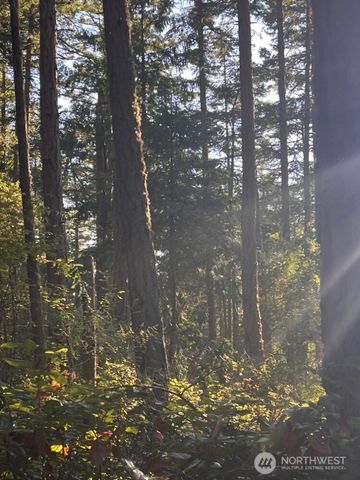 3 LOT Pavey Boulevard, Lopez Island, WA 98261