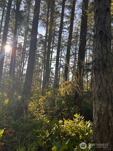 3 LOT Pavey Boulevard, Lopez Island, WA 98261