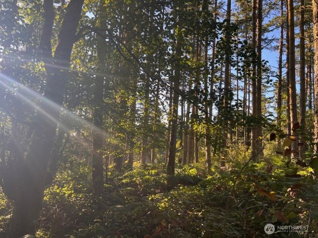 3 LOT Pavey Boulevard, Lopez Island, WA 98261