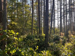 3 LOT Pavey Boulevard, Lopez Island, WA 98261