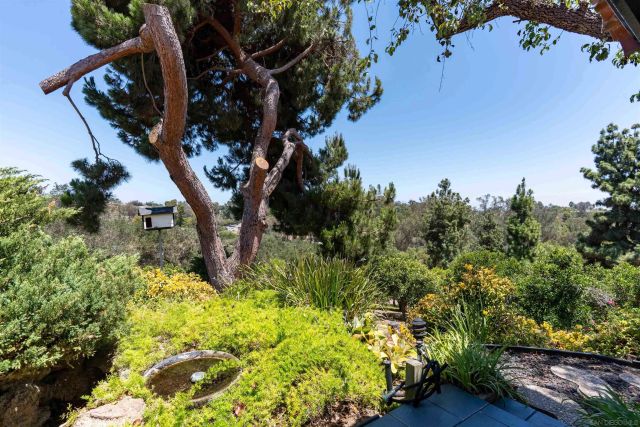 111 Morro Hills Road, Fallbrook, CA 92028