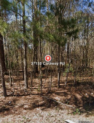 37153 Caraway Rd, Denham Springs, LA 70706