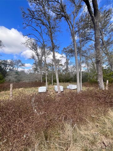 427 Paffen RD, Paige, TX 78659