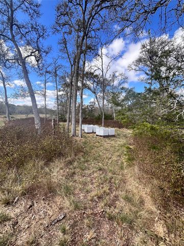 427 Paffen RD, Paige, TX 78659