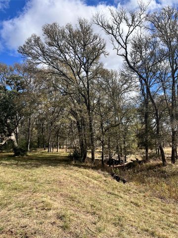 427 Paffen RD, Paige, TX 78659