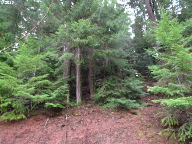 10 Acres off Acme Rd, Snowden, WA 98672