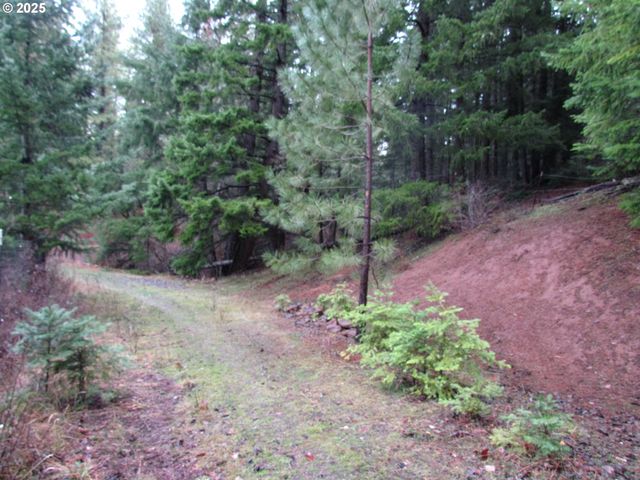 10 Acres off Acme Rd, Snowden, WA 98672