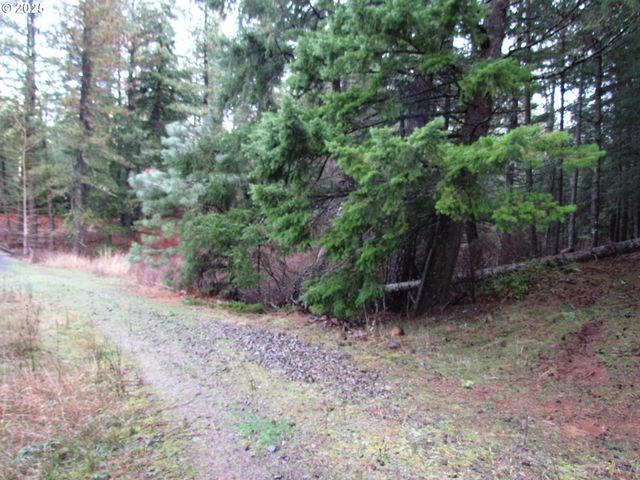 10 Acres off Acme Rd, Snowden, WA 98672