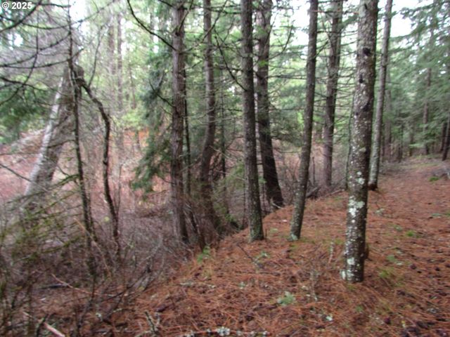 10 Acres off Acme Rd, Snowden, WA 98672