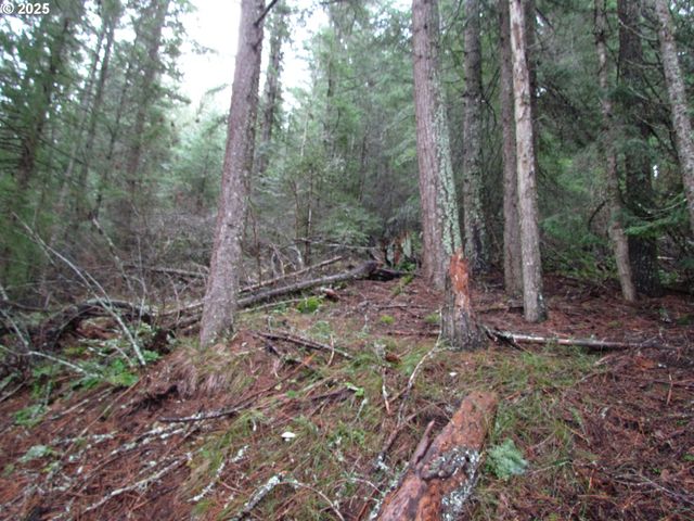 10 Acres off Acme Rd, Snowden, WA 98672