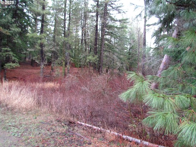 10 Acres off Acme Rd, Snowden, WA 98672