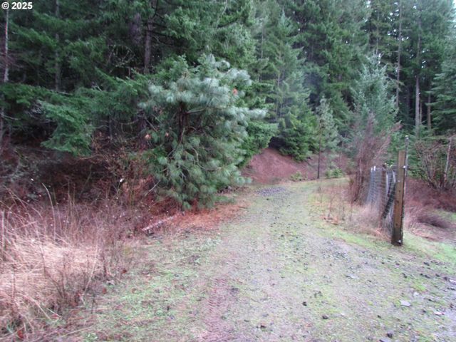 10 Acres off Acme Rd, Snowden, WA 98672