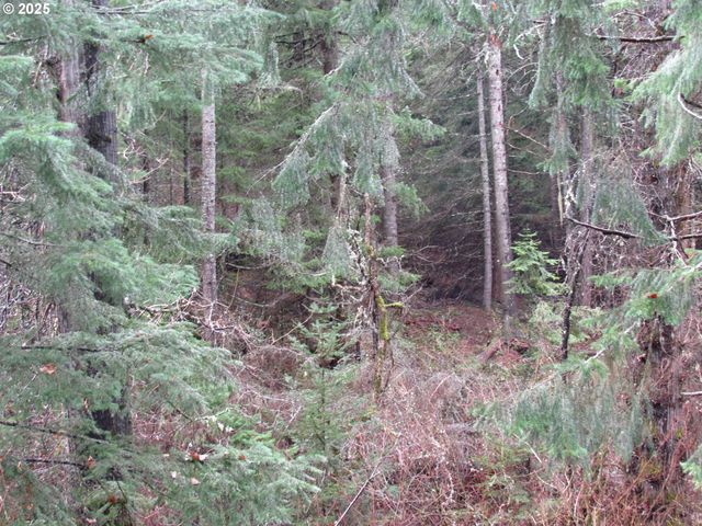 10 Acres off Acme Rd, Snowden, WA 98672