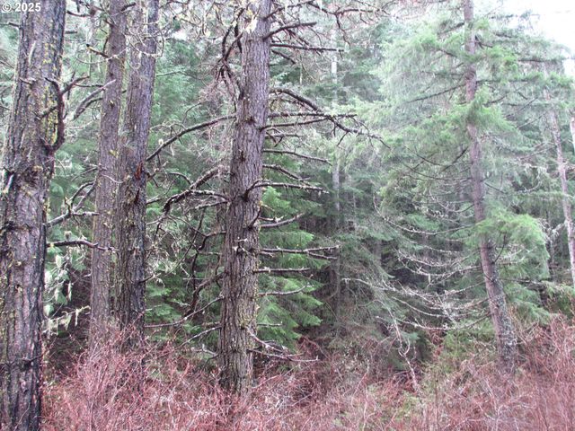10 Acres off Acme Rd, Snowden, WA 98672