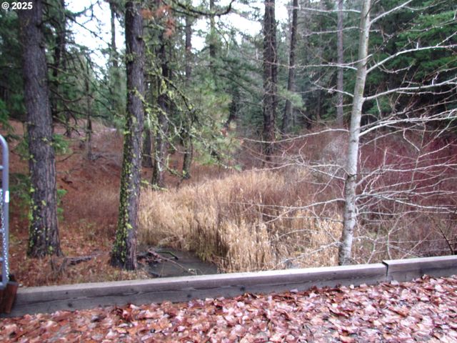 10 Acres off Acme Rd, Snowden, WA 98672