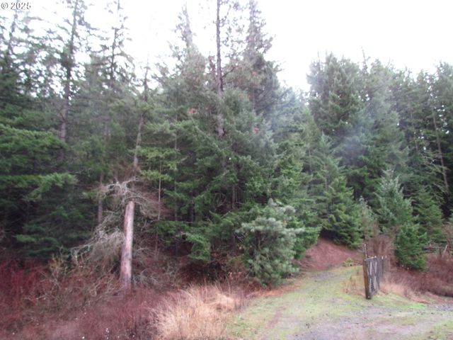 10 Acres off Acme Rd, Snowden, WA 98672