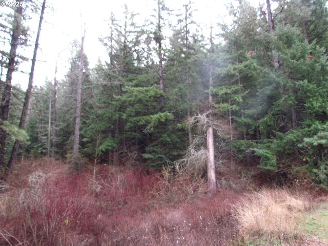 10 Acres off Acme Rd, Snowden, WA 98672