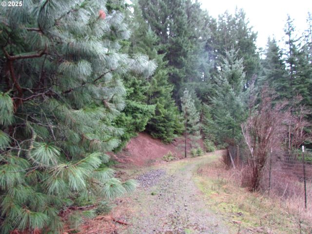 10 Acres off Acme Rd, Snowden, WA 98672