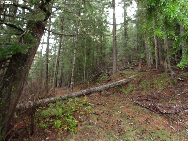 10 Acres off Acme Rd, Snowden, WA 98672
