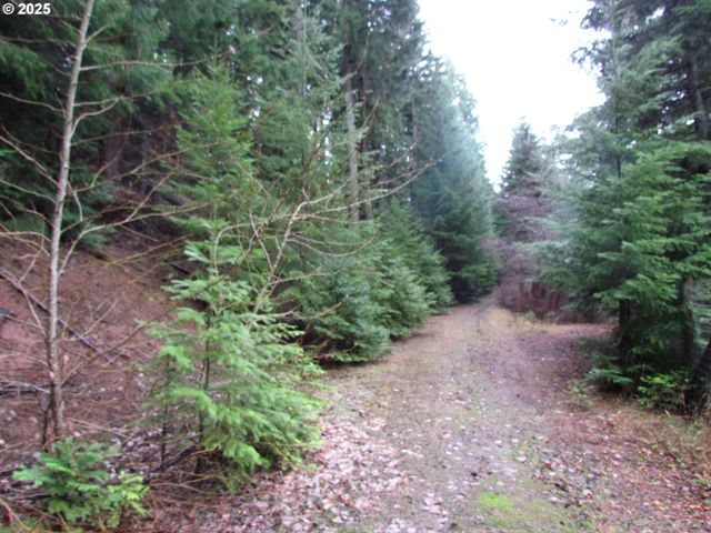 10 Acres off Acme Rd, Snowden, WA 98672