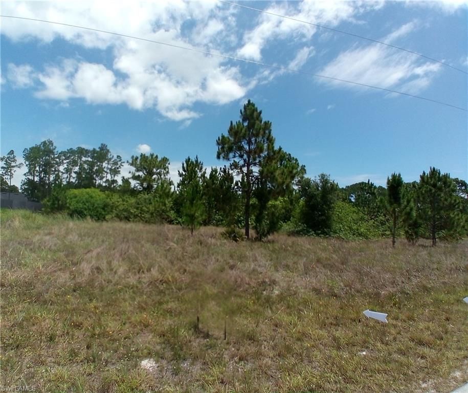 1021 Winters ST E, LEHIGH ACRES, FL 33974 — photo 4