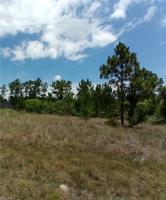 1021 Winters ST E, LEHIGH ACRES, FL 33974 — photo 5