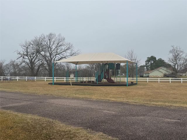 17218 Lucky Horse Drive, Rosharon, TX 77583