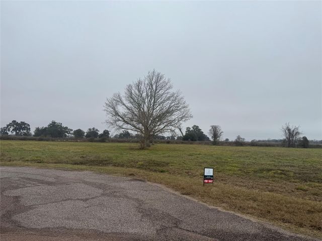 17218 Lucky Horse Drive, Rosharon, TX 77583