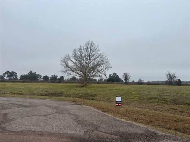17218 Lucky Horse Drive, Rosharon, TX 77583