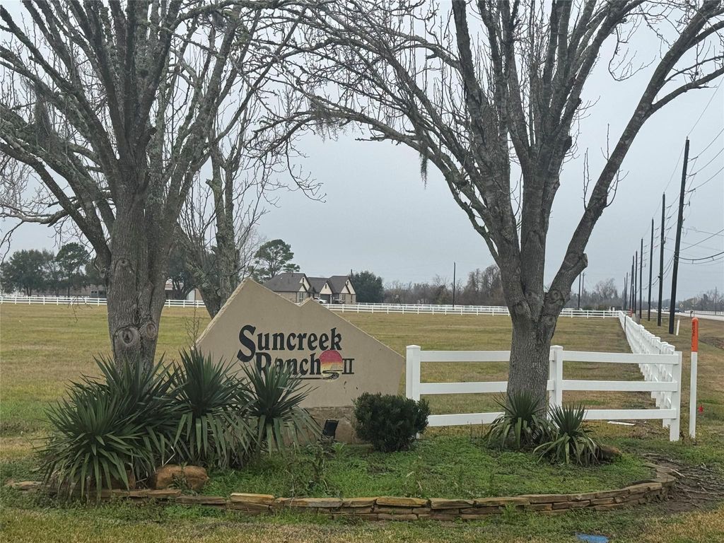 17218 Lucky Horse Drive, Rosharon, TX 77583