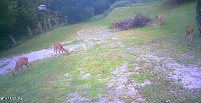 51 Turkeytown Rd, Hilham, TN 38568