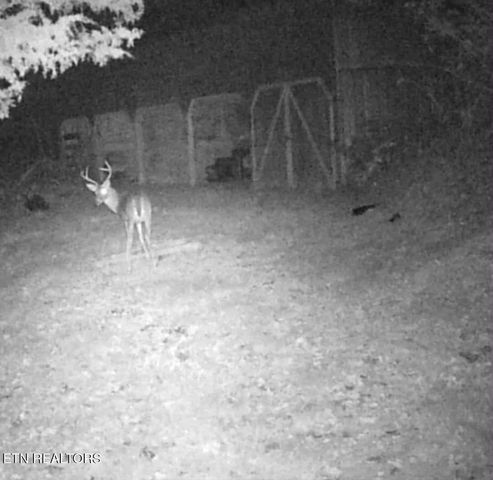 51 Turkeytown Rd, Hilham, TN 38568