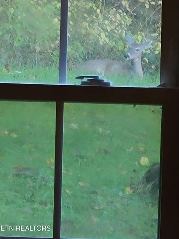 51 Turkeytown Rd, Hilham, TN 38568