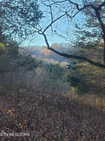 51 Turkeytown Rd, Hilham, TN 38568