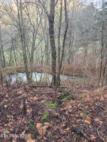 51 Turkeytown Rd, Hilham, TN 38568