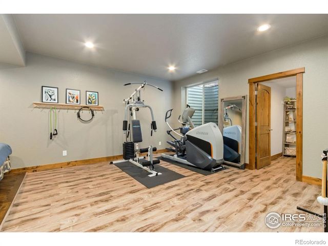 7982 Rising Sun Court, Windsor, CO 80550