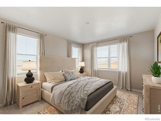 1004 Annelles Pool Lane, Severance, CO 80550