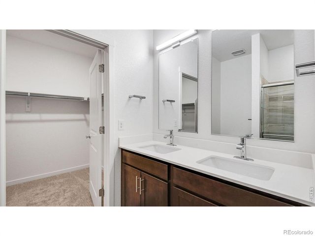 1004 Annelles Pool Lane, Severance, CO 80550