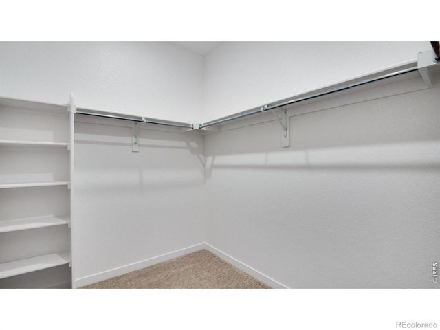 1004 Annelles Pool Lane, Severance, CO 80550
