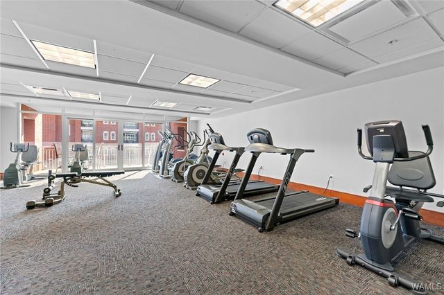 1018 Hackberry 203, Tuscaloosa, AL 35401