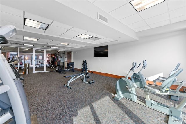 1018 Hackberry 203, Tuscaloosa, AL 35401