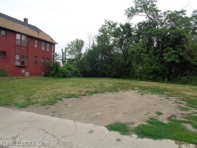6218 Rosa Parks Boulevard, Detroit, MI 48208